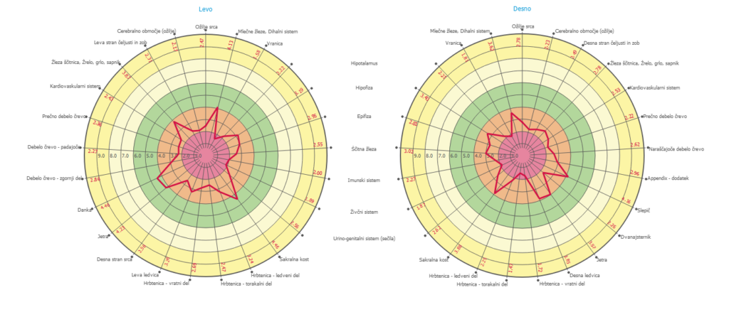 GDV energetski diagram telesa z analizo organov in živčnega sistema. Prikaz leve in desne strani telesa ter stopnje obremenitve posameznih sistemov.