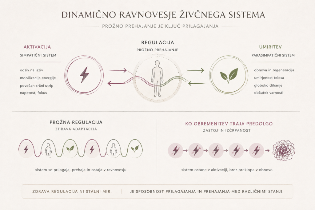 Shema regulacije avtonomnega živčnega sistema in prehajanja med simpatično aktivacijo ter parasimpatično umiritvijo.