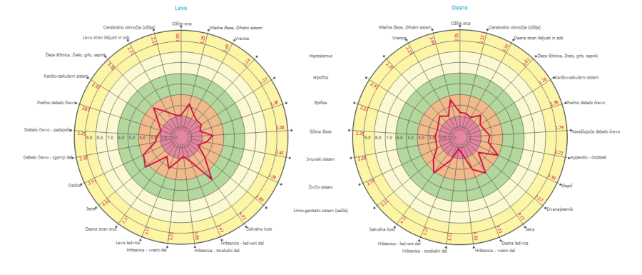GDV energetski diagram telesa z analizo organov in živčnega sistema. Prikaz leve in desne strani telesa ter stopnje obremenitve posameznih sistemov.