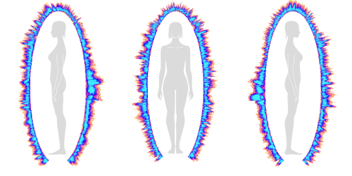 GDV prikaz energijskega polja telesa iz treh pogledov, spredaj ter z leve in desne strani. Vizualni prikaz odziva živčnega sistema in telesne obremenitve.